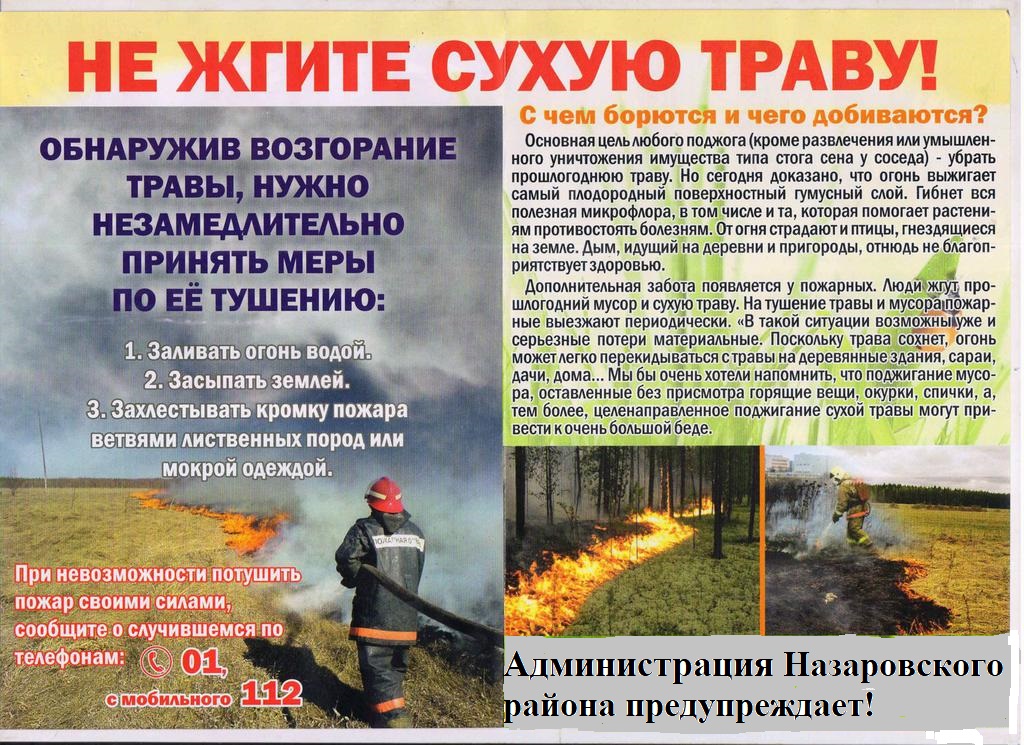 Не жгите сухую траву.