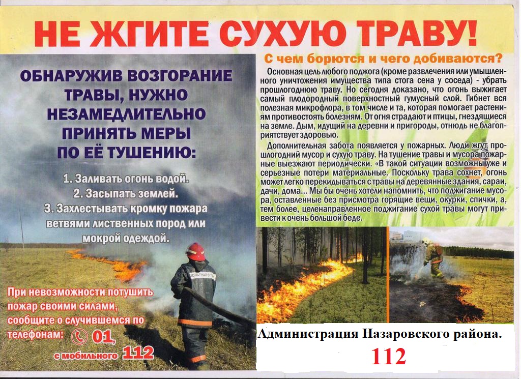Не жгите сухую траву.